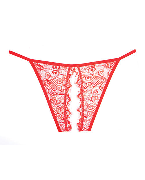Lace Enchanted Belle Panty